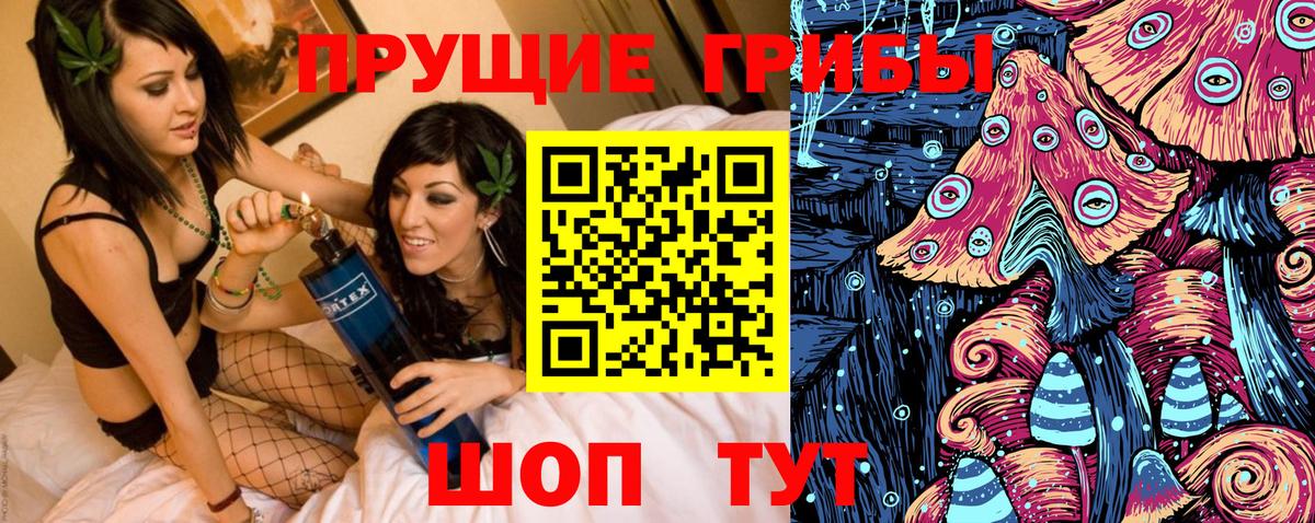 Галлюциногенные грибы Psilocybine cubensis  Вход с VPN  Калининград 
