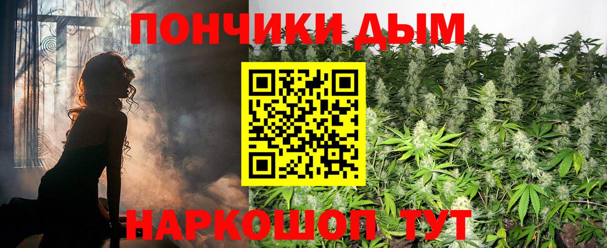 Шишки марихуана семена Калининград